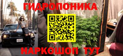 apvp Краснознаменск