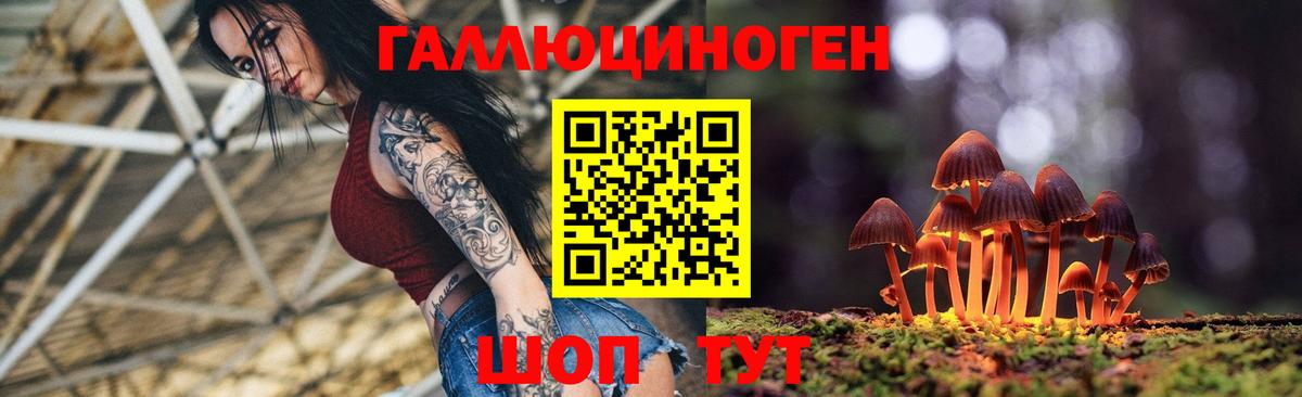 Псилоцибиновые грибы MAGIC MUSHROOMS  Вход с VPN  где найти   Краснодар 